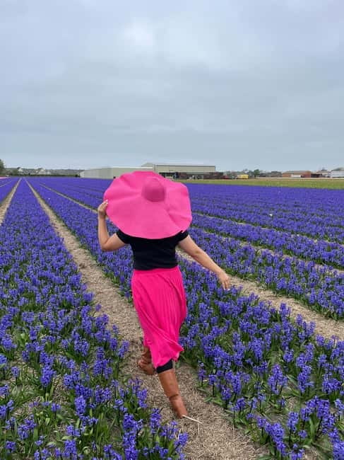Amsterdam: Private Keukenhof and Free Tulip Tour - Guides and tailoring: how much flexibility you can actually expect