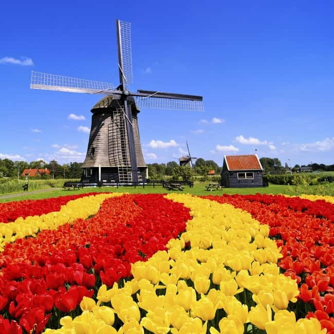Amsterdam: Private Keukenhof and Free Tulip Tour - Keukenhof time: how to use your hours well