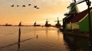 Amsterdam: Private Tour Giethoorn, Zaanse Schans Local Guide - Price and group size: what you’re really paying for