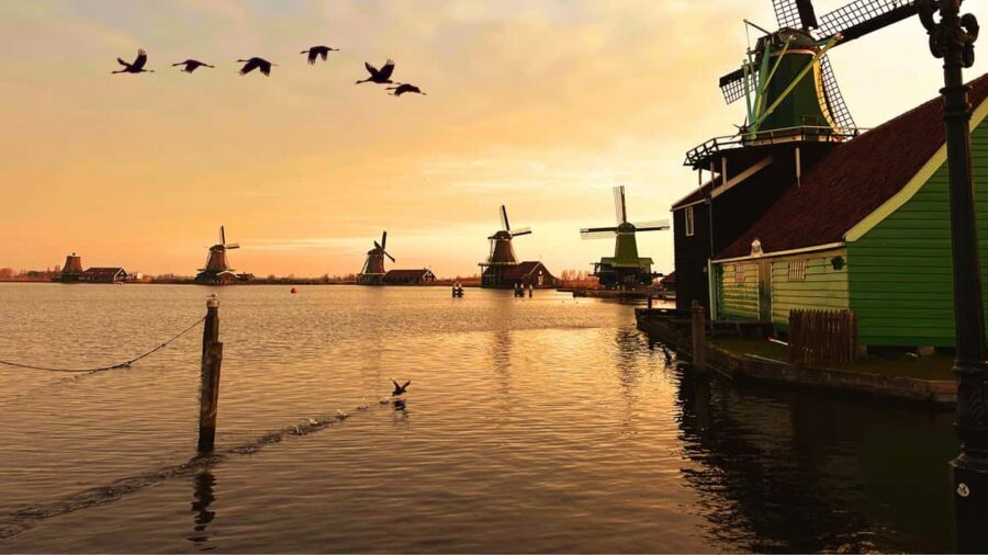 Amsterdam: Private Tour Giethoorn, Zaanse Schans Local Guide - Price and group size: what you’re really paying for