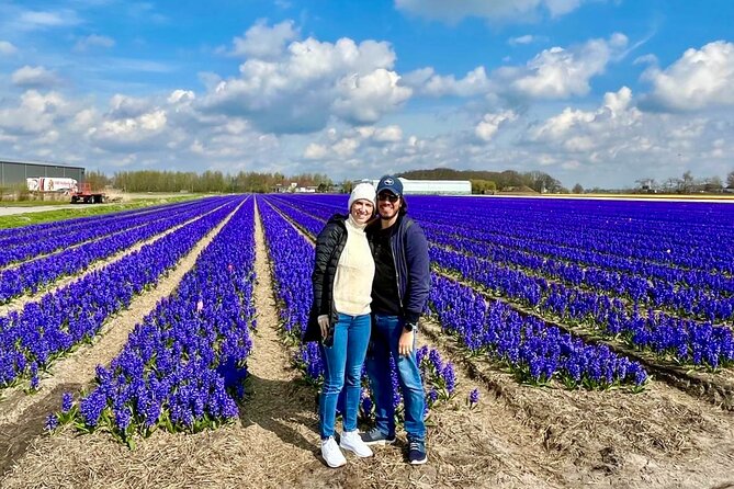 Amsterdam Private Tour to Keukenhof, Tulip Fields and Windmills - Why this private Holland day works from Amsterdam
