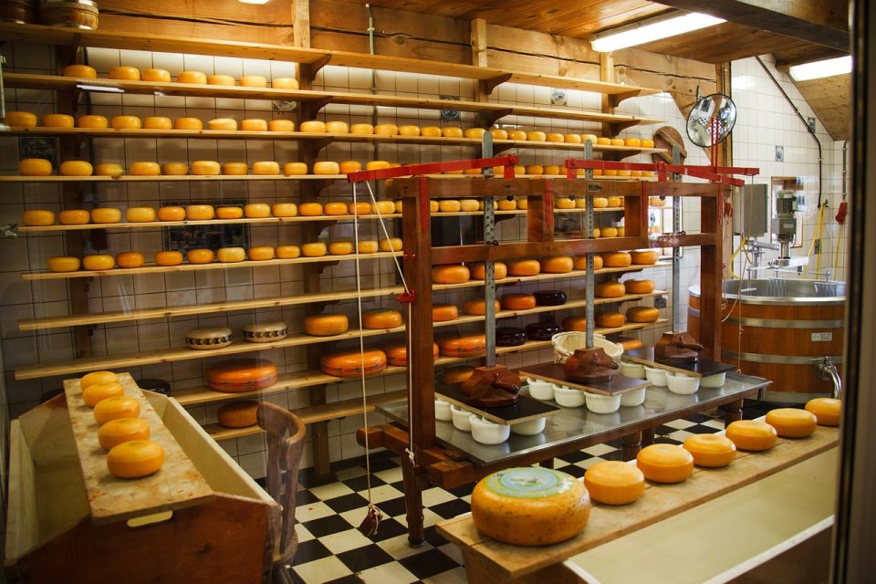 Amsterdam: Private Zaanse Schans Windmills and Volendam Trip - Final call: should you book this trip?