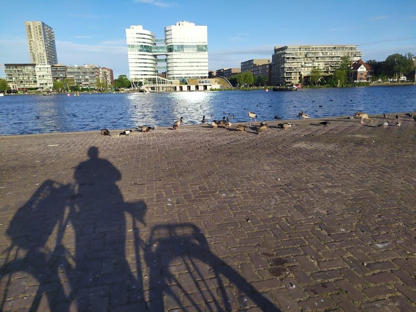 Amsterdam: Rainbow Rural Bike Tour With Local Gay Guide - The Abandoned Harbor: Murals, Industrial Texture, and Creative Energy
