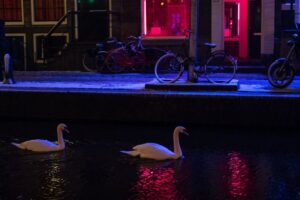 Amsterdam: Red Light District and Coffeeshop Culture Tour - Prostitution in Plain Sight: History, Work, and What You’re Actually Seeing