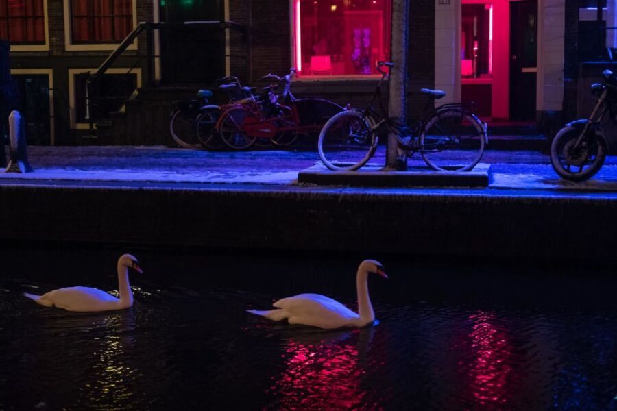 Amsterdam: Red Light District and Coffeeshop Culture Tour - Prostitution in Plain Sight: History, Work, and What You’re Actually Seeing