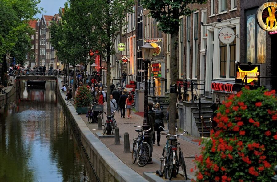 Amsterdam Red Light District tour with a local guide - Key highlights I think you’ll care about