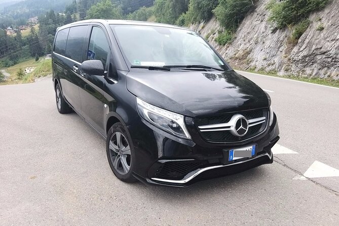 Amsterdam Schiphol Airport (AMS) to Amsterdam - Arrival Private Transfer - Local Advice on Arrival: Using a Driver’s Recommendations the Right Way