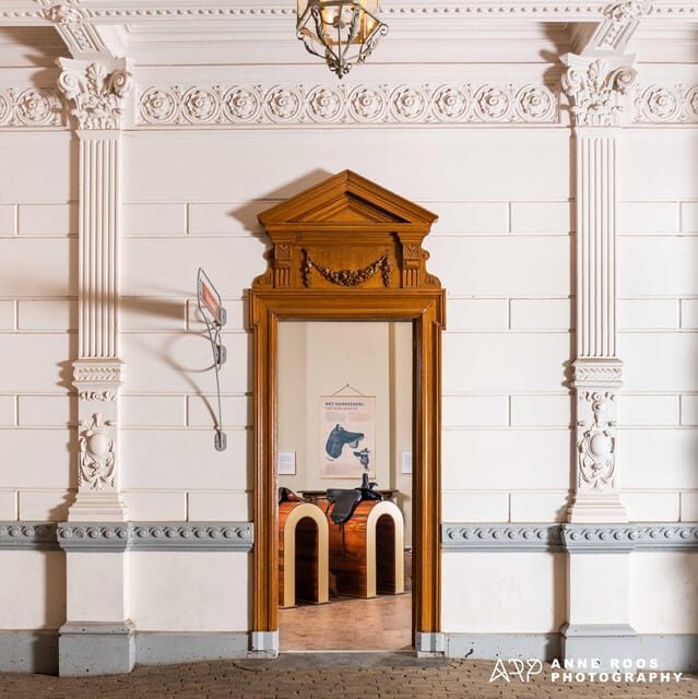 Amsterdam: The 'Hollandsche Manege' Stables Entry Ticket - The stables visit: feeding, caressing, and learning daily routines