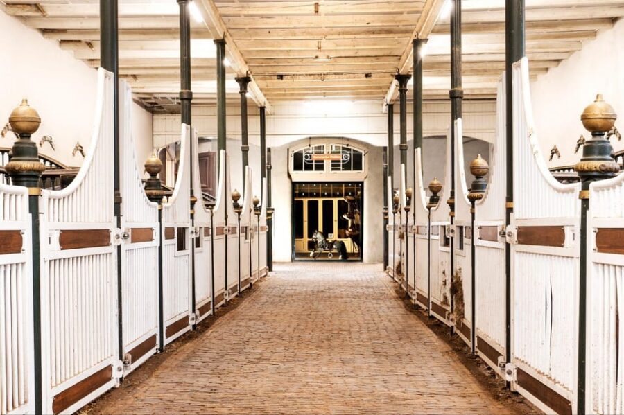 Amsterdam: The 'Hollandsche Manege' Stables Entry Ticket - Where your visit starts: making the most of your short time