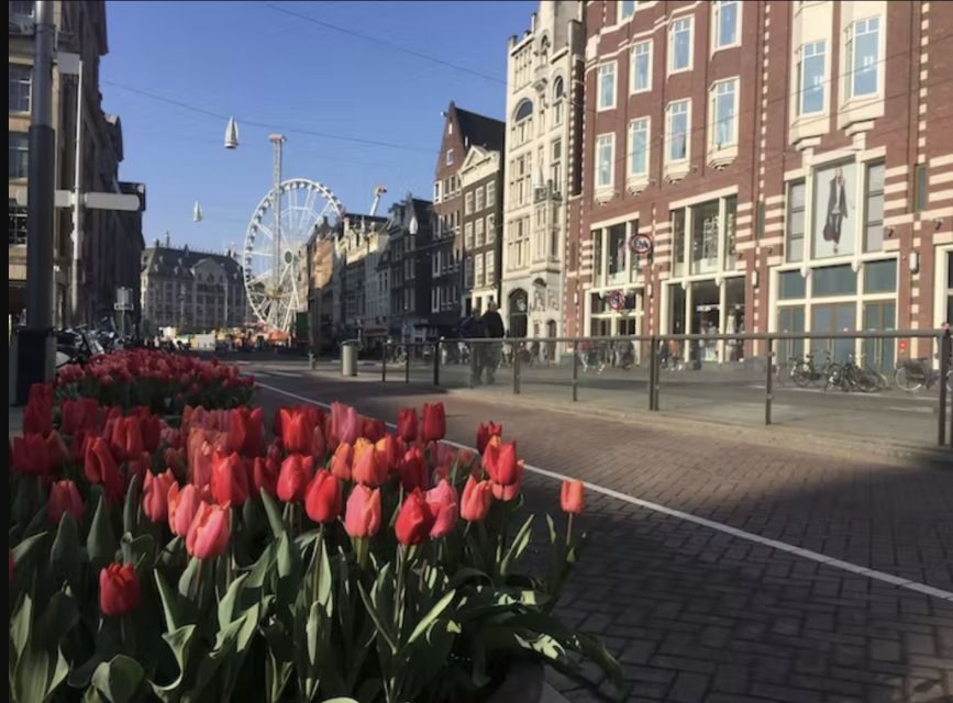 Amsterdam: The Story of History & Culture Walking Tour - Comfort, Pace, and the Tolkien Surprise on Select Times