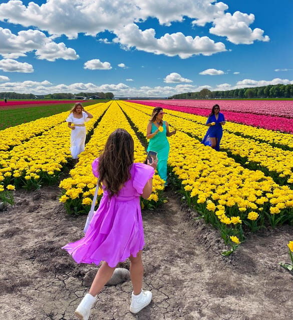 Amsterdam: Tulip Fields Day Tour with Lunch & Windmill - Three Tulip Field Walks: How to See More Than Pretty Blooms