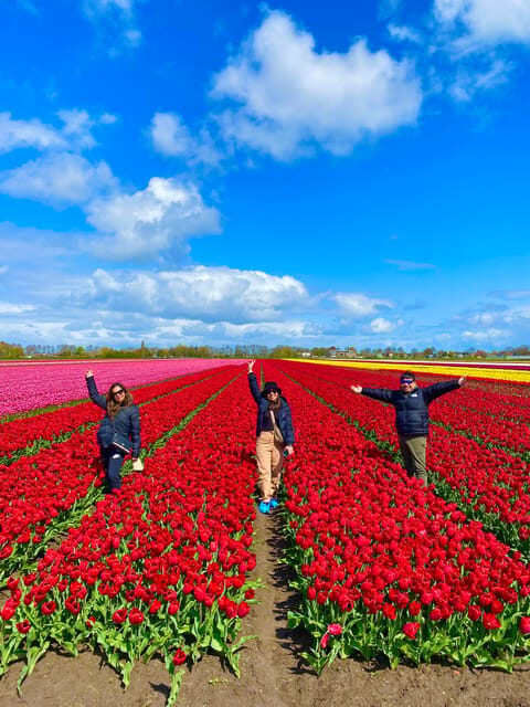 Amsterdam: Tulip Fields Day Tour with Lunch & Windmill - Value for $143: When This Tulip Day Feels Worth It