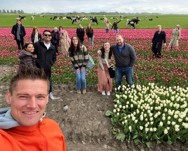 Amsterdam: Tulip Fields Day Tour with Lunch & Windmill - Who Should Book This Tour (and Who Might Want to Rethink It)