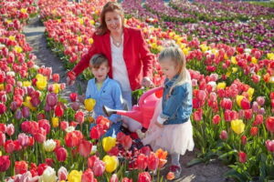 Amsterdam : Tulip Wonderland Tour - Meeting at Market 27 and finding the Noord metro quickly