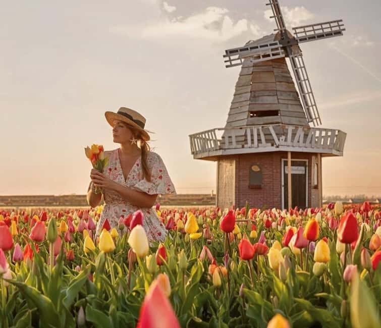Amsterdam : Tulip Wonderland Tour - The 30-minute drive through South Holland tulip fields