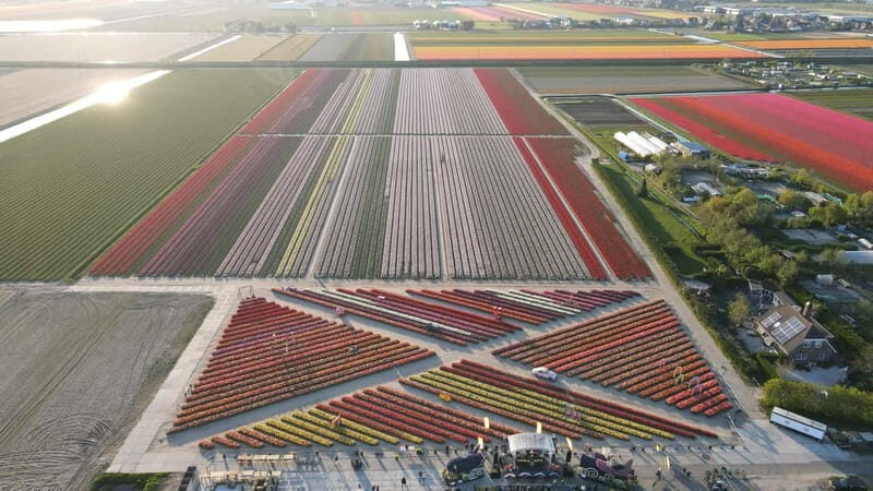 Amsterdam : Tulip Wonderland Tour - Logistics that keep the day smooth