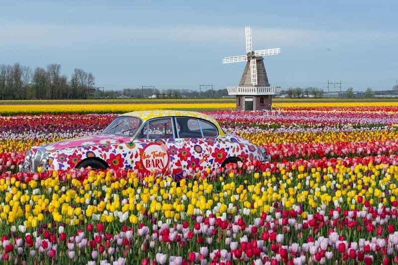 Amsterdam : Tulip Wonderland Tour - Who should book this Tulip Wonderland Tour