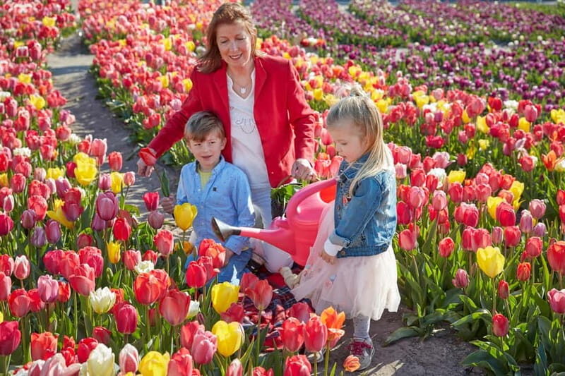 Amsterdam : Tulip Wonderland Tour - Meeting at Market 27 and finding the Noord metro quickly