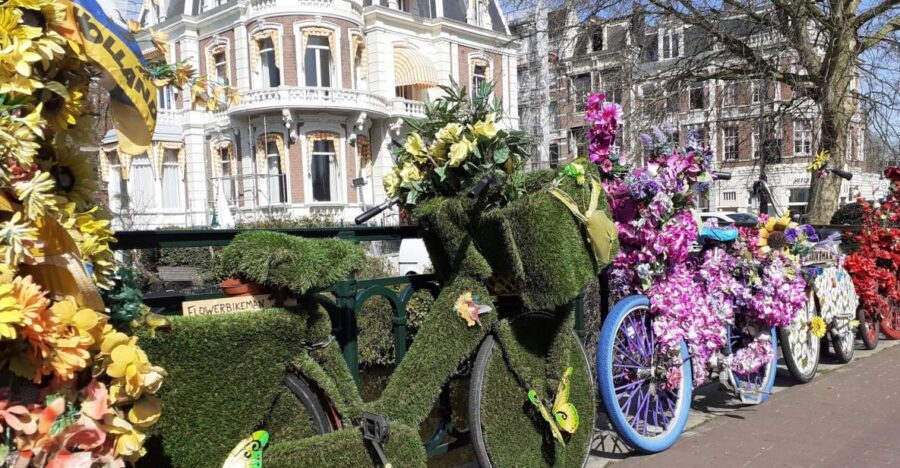 Amsterdam Walking Tour and Canal Cruise - Guides and languages: getting the most out of the day