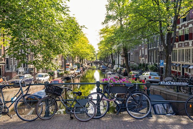 Amsterdam Walking Tour and Cruise with Drinks and Cheese Tasting - How the guide style can make or break the walking tour