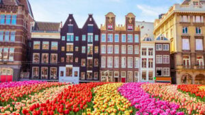 Amsterdam Walking Tour with a Local - The 2 to 6 hour private format: flexible enough to match your day