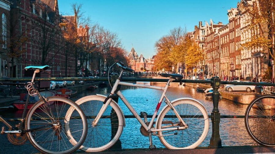 Amsterdam Walking Tour with a Local - The guide experience: warm welcome, conversation, and real responsiveness