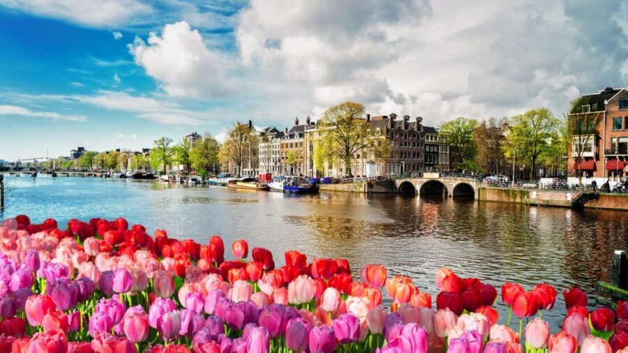 Amsterdam Walking Tour with a Local - Price and value: is $49 a fair deal for a private Amsterdam walk?