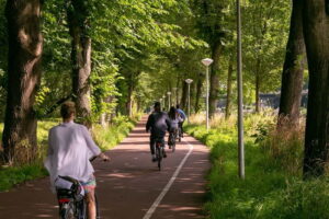 Amsterdam: Windmill, Cheese, and Countryside E-Bike Tour - A’DAM Tower, D’Admiraal Windmill, and the Best Early Photo Stops