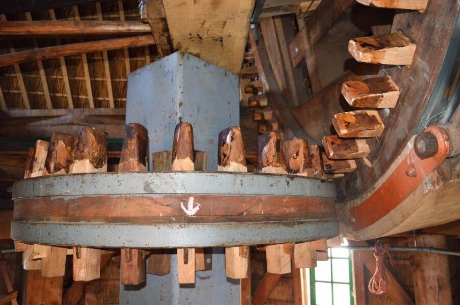 Amsterdam: Windmill Guided Tour - The Ringvaart Canal panorama you’ll remember