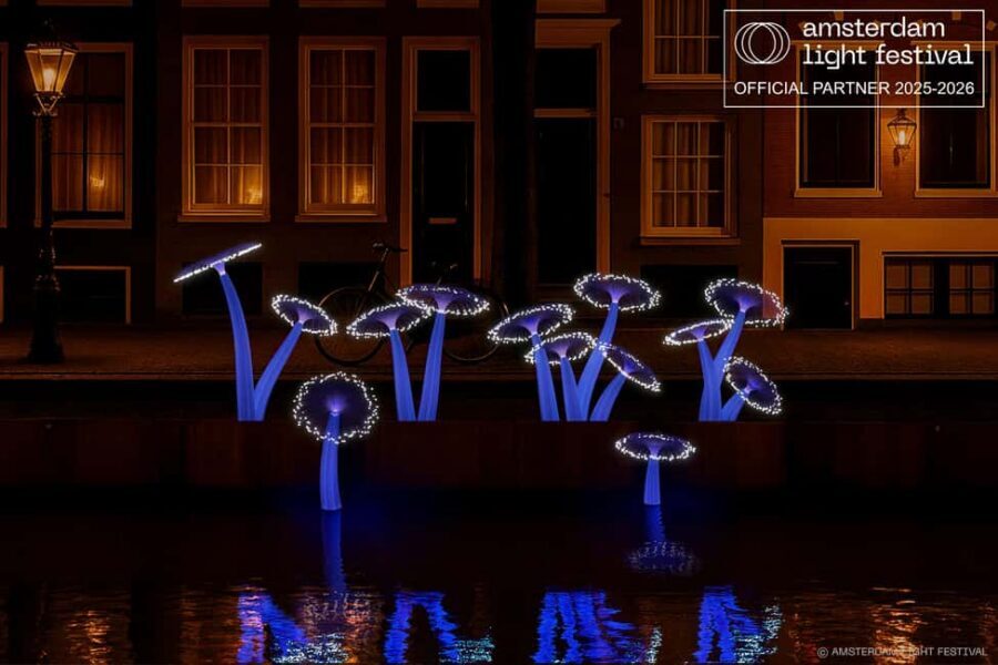 Amsterdam Winter Walking Tour - Dam Square to the Canal Belt: Getting Your Bearings in the Cold
