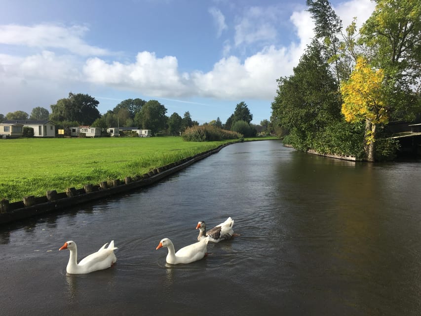 Amsterdam: Zaanse Schans and Giethoorn Day Trip with Cruise - Who This Tour Suits Best (And Who Might Prefer Something Else)
