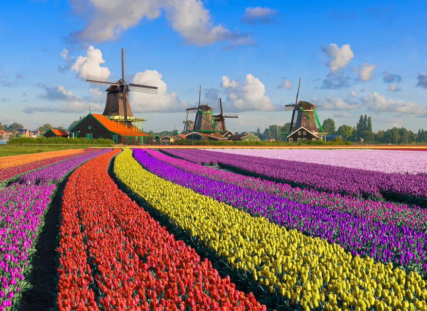 Amsterdam: Zaanse Schans, The Hague & Rotterdam Tour - Why this Amsterdam day trip works: three worlds, one schedule