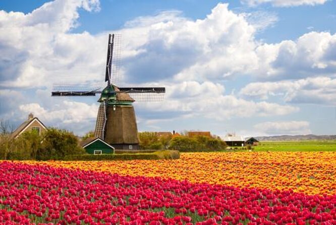Best of Dutch Countryside: Giethoorn, Windmills, Secret Villages - Key things you’ll notice on this Best of Dutch Countryside day