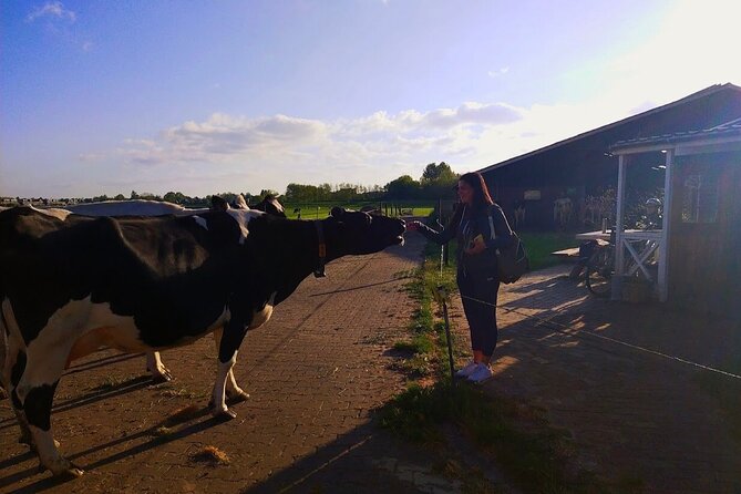 Best of Dutch Countryside: Giethoorn, Windmills, Secret Villages - Almere farm stop: fresh milk tastes and quick cow-photo time