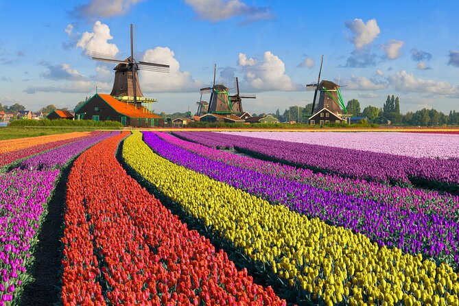 Best of Netherlands: Zaanse Schans Mills, The Hague & Rotterdam - Price and value: is $112.29 a fair deal?