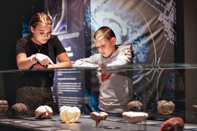 Body Worlds Amsterdam Admission Ticket - Body Worlds Amsterdam ticket: the vibe and who it’s for