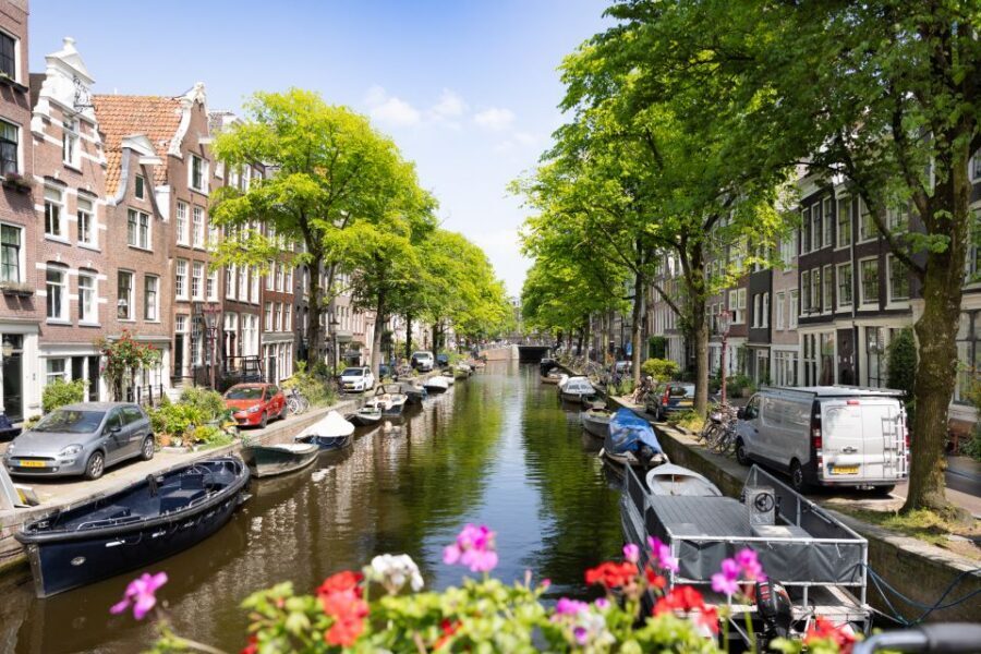Boutique Dutch Food & History Tour with up to 8 guests only - What to bring to get the most out of it