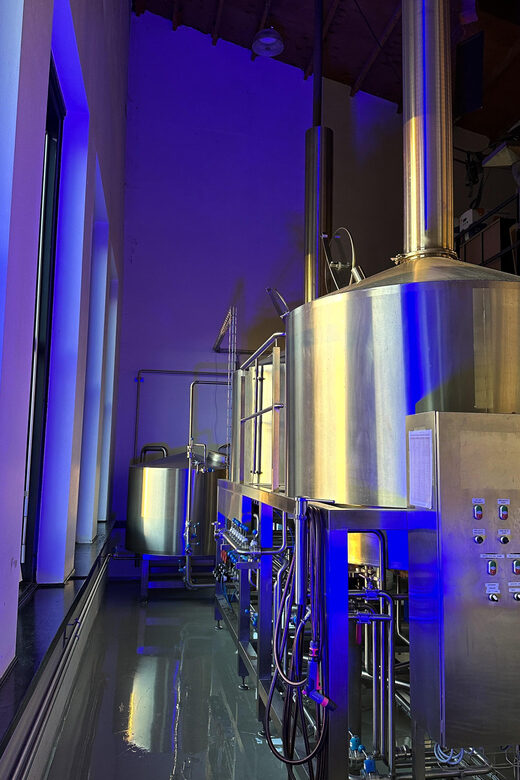 Breugem Brewery: Beer tasting - The Patrick Breugem story: what makes this tasting feel different