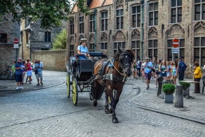 Bruges Full day private trip from Amsterdam - Holy Blood Basilica and Beguinage Ten Wijngaarde: quiet stops with standout atmosphere