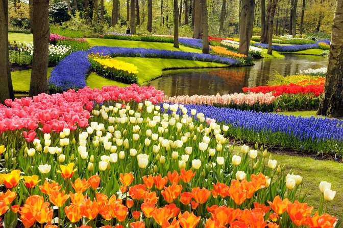 Day Trip to Keukenhof Gardens from Amsterdam with Tour Guide - Key points I’d center in your planning