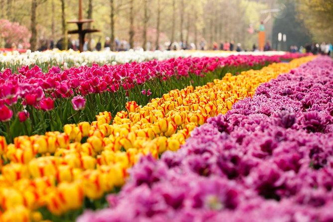 Day Trip to Keukenhof Gardens from Amsterdam with Tour Guide - A Keukenhof Day Trip From Amsterdam That Starts With the Ticket