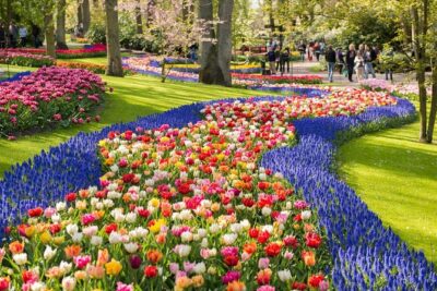 Day Trip to Keukenhof Gardens from Amsterdam with Tour Guide - How Finding the Bus Really Works (and How to Avoid Delays)