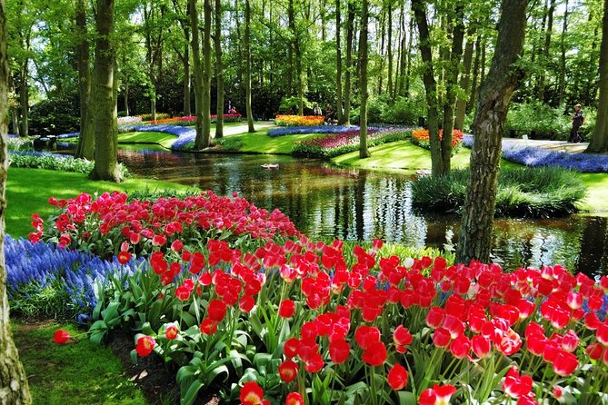 Day Trip to Keukenhof Gardens from Amsterdam with Tour Guide - Value for Money: Is This ~$71.20 a Good Deal?