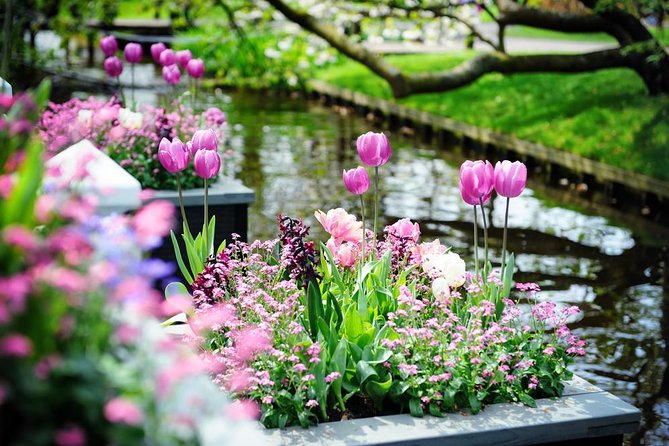 Day Trip to Keukenhof Gardens from Amsterdam with Tour Guide - Who This Keukenhof Tour Is Best For