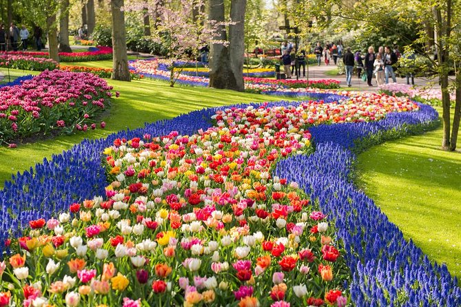 Day Trip to Keukenhof Gardens from Amsterdam with Tour Guide - How Finding the Bus Really Works (and How to Avoid Delays)