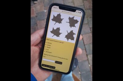 Discover Amsterdam's city center in this Outside Escape game tour - Price and value: why $6.01 feels like a bargain