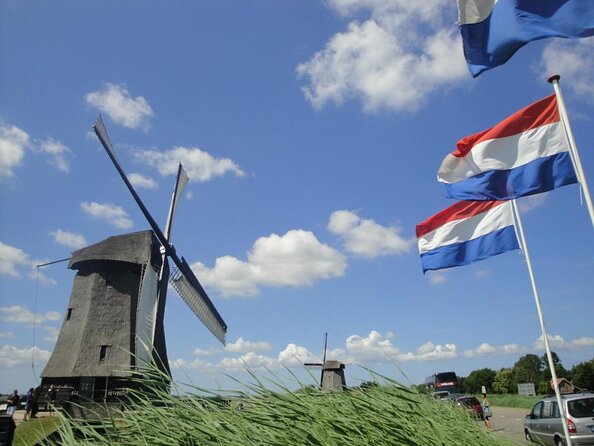 Discover Holland’s Beautiful Tulip Fields with an Expert Guide - Key highlights worth your time