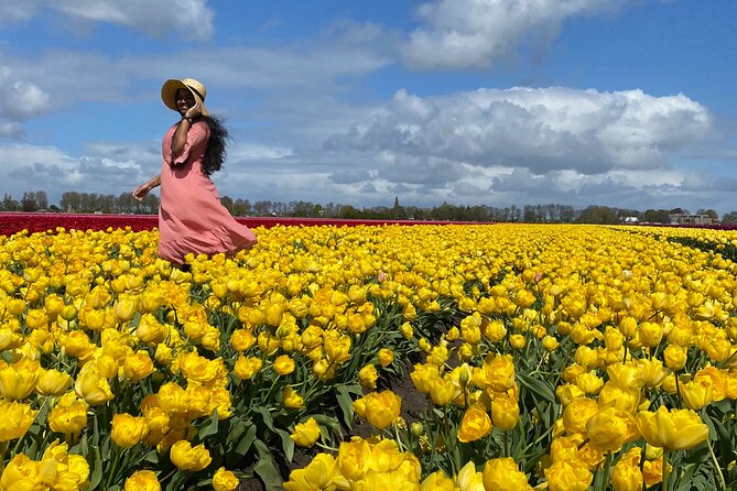 Discover Holland’s Beautiful Tulip Fields with an Expert Guide - The Beemster Polder: a UNESCO start that sets the stage
