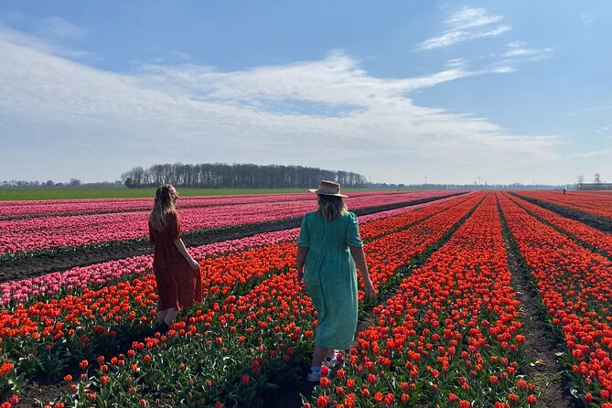 Discover Holland’s Beautiful Tulip Fields with an Expert Guide - Timing reality: May can be less dramatic than April