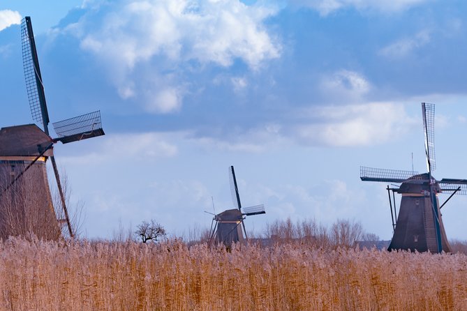 Famous Holland Tour: visit The Hague, Delft, Rotterdam and Kinderdijk from A'dam - Getting From Amsterdam to Four Places Without Burning the Day
